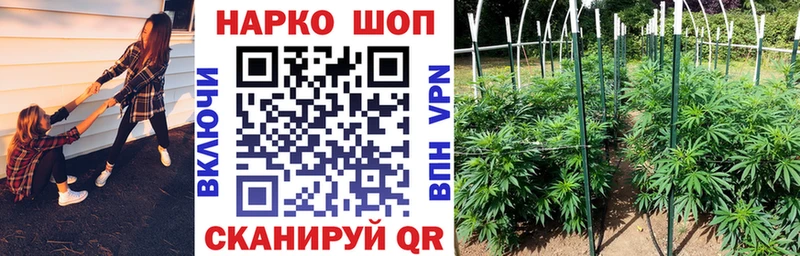 Купить наркотики Десногорск Кокаин Меф мяу мяу Амфетамин Вейп ТГК Псилоцибиновые грибы ГАШ OMG маркетплейс СОЛЬ Конопля