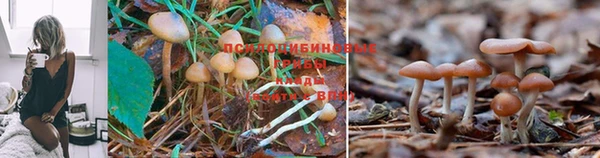 spice Верхний Тагил