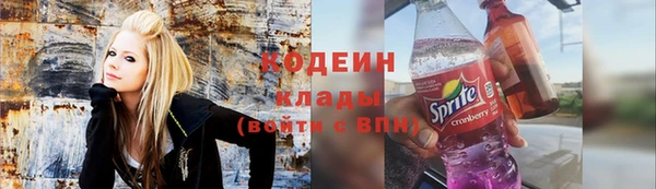 хмурый Верея