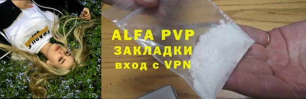 хмурый Верея