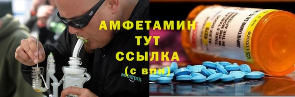 хмурый Верея