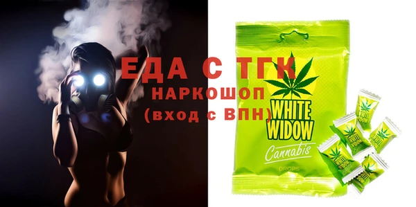 хмурый Верея
