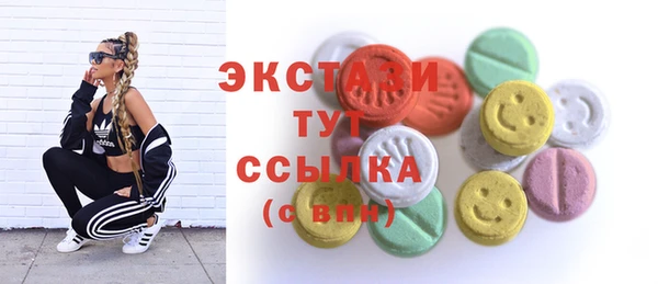 хмурый Верея