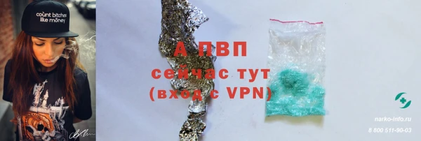 spice Верхний Тагил