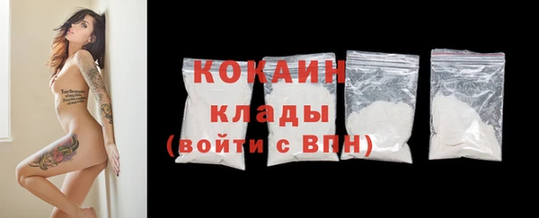 хмурый Верея