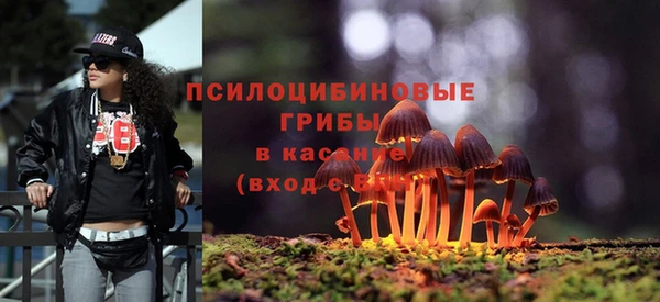 хмурый Верея