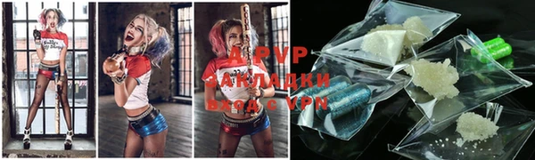 хмурый Верея