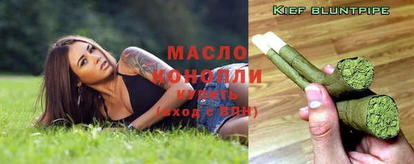хмурый Верея